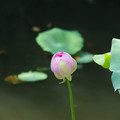 3496-1.jpg