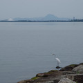 3499-3.jpg