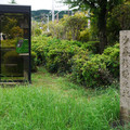 3509-2.jpg