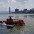 3517-1.jpg