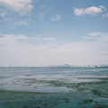 3533-3.jpg