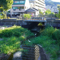 3534-2.jpg