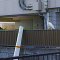 3535-1.jpg
