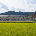 3535-2.jpg