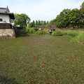 3536-2.jpg