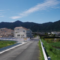 3537-3.jpg