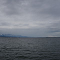 3538-1.jpg