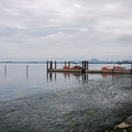 3539-1.jpg