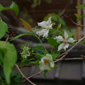 3540-3.jpg