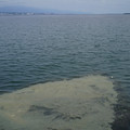3541-2.jpg