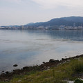 3543-3.jpg