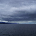 3545-1.jpg