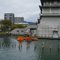 3548-3.jpg
