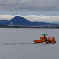 3549-1.jpg