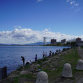 3550-2.jpg