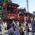 3554-1.jpg