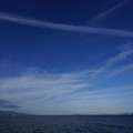 3555-3.jpg