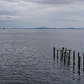 3556-1.jpg