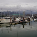 3557-1.jpg