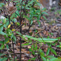 3557-2.jpg