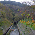 3560-1.jpg