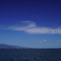 3562-1.jpg
