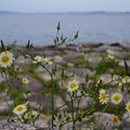 3563-3.jpg