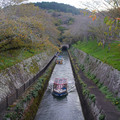 3567-1.jpg