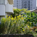 3568-2.jpg