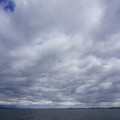 3571-2.jpg