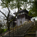 3572-1.jpg
