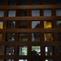 3572-2.jpg