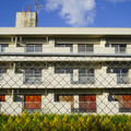 3576-3.jpg