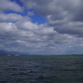 3579-1.jpg
