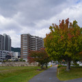 3579-2.jpg
