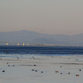 3580-3.jpg