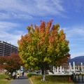 3582-3.jpg