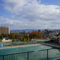 3584-3.jpg