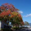 3585-1.jpg