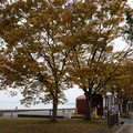 3586-2.jpg
