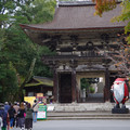 3587-1.jpg