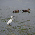 3587-2.jpg
