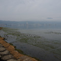 3587-3.jpg