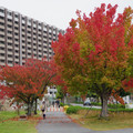 3588-3.jpg