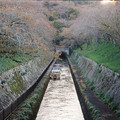 3590-1.jpg