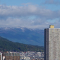 3591-1.jpg