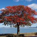 3591-2.jpg