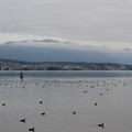3592-1.jpg