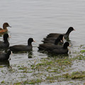 3592-3.jpg