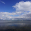 3593-1.jpg